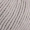 231 Silver